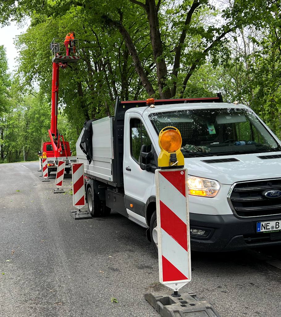 Baumpflege durch Baumdienst Bersch